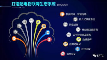 配電物聯(lián)網(wǎng)技術(shù)發(fā)展構(gòu)想 網(wǎng)絡技術(shù)開發(fā)新藍圖