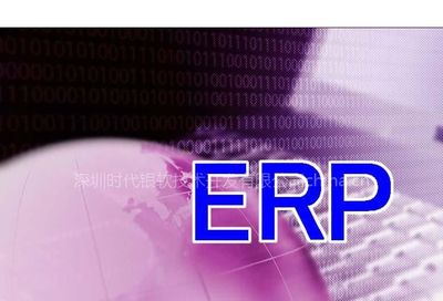 【提供中小企業ERP定制軟件開發服務圖片】提供中小企業ERP定制軟件開發服務